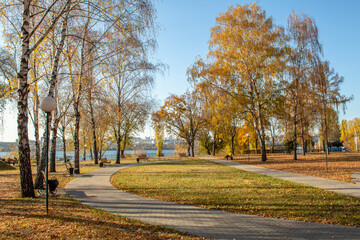 autumn in the park