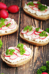 Sandwiches with fresh radishes and cotton cheese