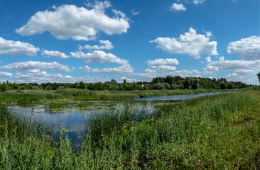 
wonderful reflection of the sky with clouds in the river, grass by the river on a summer day