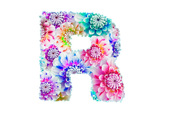 English letter R of multi-colored flowers