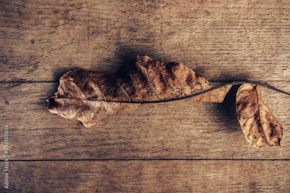 Poster close up beautiful faded old leaf on a brown old wooden table. abstraction autumn style concept. bac