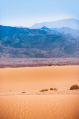 Fototapeta na wymiar Sand Dune in Wadi Araba desert. Jordan