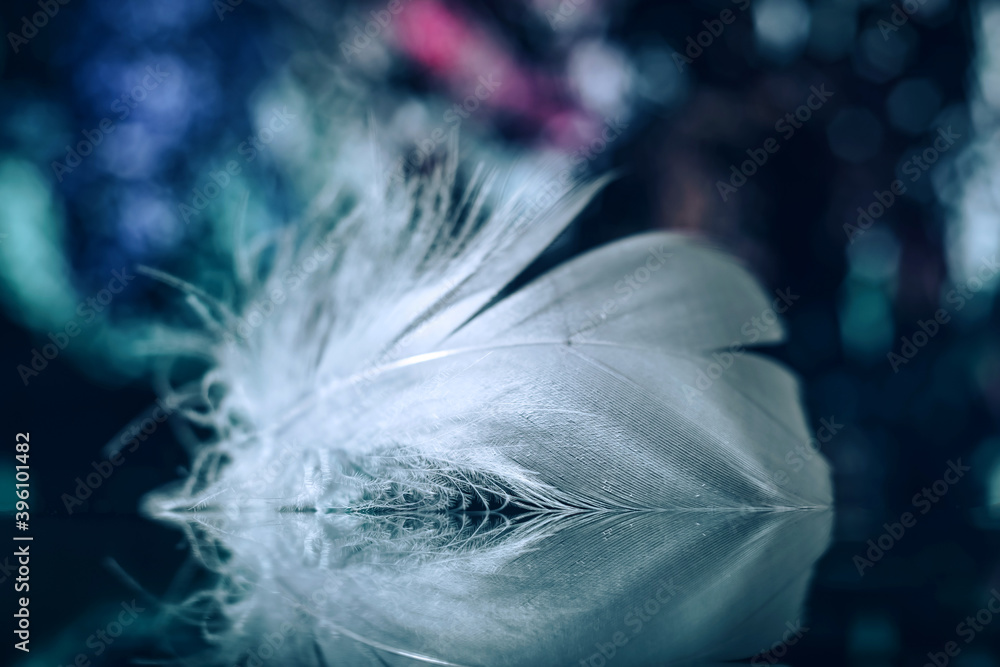 Poster Beautiful gray Bird feather on a bokeh background.  Pattern background for design texture.  Macro view photography.