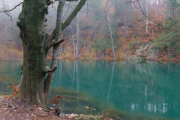 Nazwy oryginalne: Jeziorko Błękitne Jesień Drzewo Opiekun Odbicia w wodzie 1