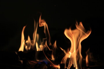 Fototapeta premium fire