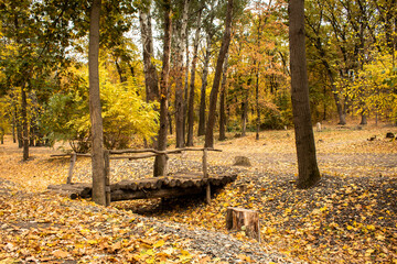 autumn landscape with a bridge in the forest