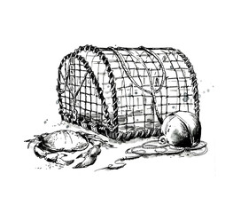 Lobster trab and a crab hand drawn ink illustration - 396102299