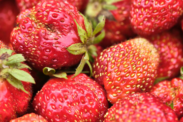 Close-up detail of a fresh red strawberry with leaves. color natural