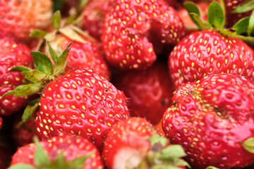 Close-up detail of a fresh red strawberry with leaves. color natural