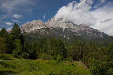 Fototapeta premium landscape forest in trentino with dolomiti mountain