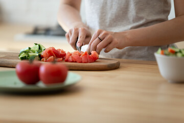Close up woman cooking salad, cutting organic fresh vegetables, cucumbers and tomatoes with knife on board, standing at kitchen table, young female preparing lunch, vegetarian meal