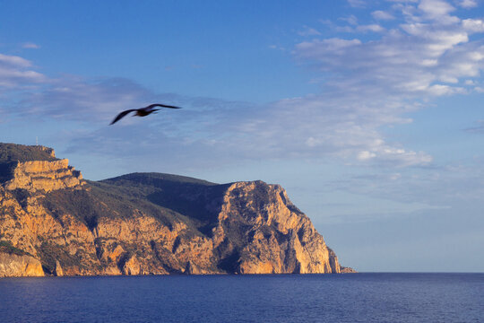 rock sky, clouds, sea and seagull