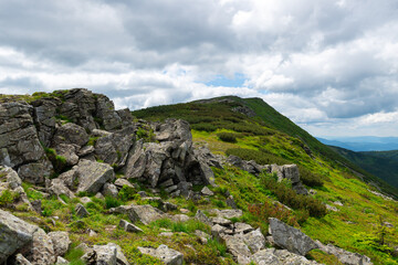 on the way to Babia Góra, Poland
