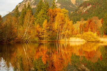 Allgäu - Moorweiher - Oberstdorf - Herbst - malerisch