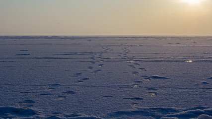 dawn, siberia, novosibirsk, morning, frost, cold