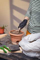 Woman sipping universal plant soil in flower pot. Gardening and home potted flowers care concept.