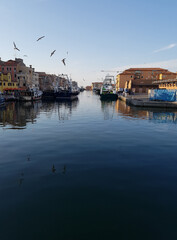 Fototapeta na wymiar seagulls over fishing boats in Chioggia italy