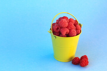 Decorative bucket with ripe raspberries on a blue background