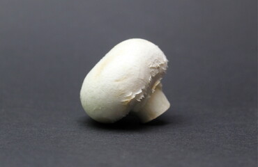 White mushroom champignon lies on a black background