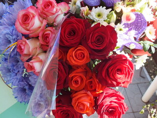 bunch of roses