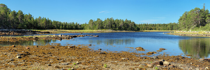 Panorama of the coast of White Sea on Sosnovaya Bay of Bolshoy Solovetsky Island during the low tide, Solovetsky archipelago, Russia