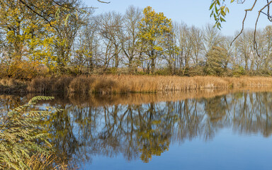 colorful nature at the lake