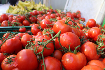 greengrocer selling tomatoes and oranges
