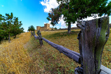 Campo con flores blancas y amarillas, cielo azul con nubes blancas en día soleado y castillo medieval al fondo.
