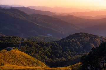 Landscape nature flower Tung Bua Tong