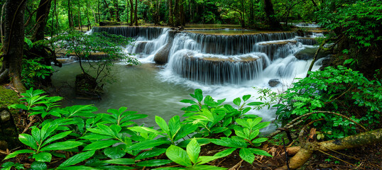 Panoramic beautiful deep forest waterfall in Thailand.