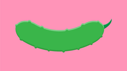 cucumber on a pink background, vector illustration. green cucumber, fresh vegetable for salad. farm products, natural eco product from the earth
