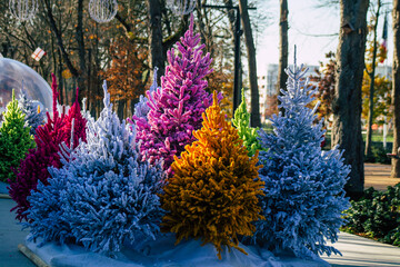 View of colorful Christmas decorations in the streets of Reims during the coronavirus epidemic, the city of Reims offers a Christmas village adapted to the health crisis
