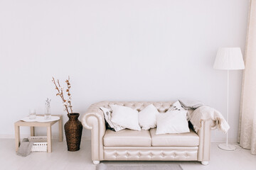 Stylish living room with comfortable  sofa