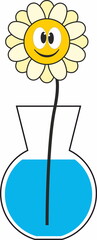 funny flower chamomile in vase