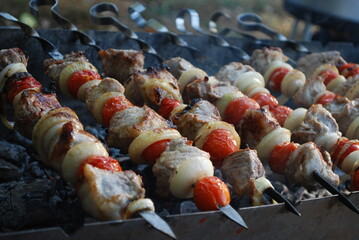barbecue kebab
