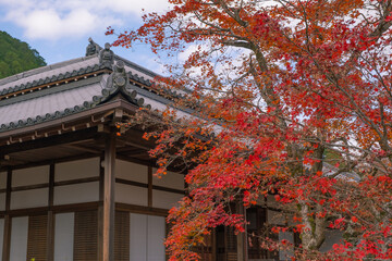 紅葉と日本の寺社