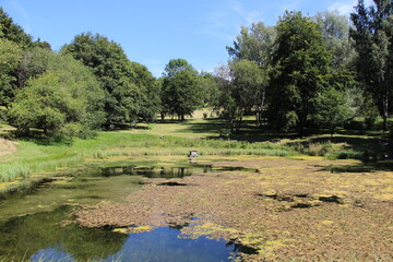 Im Kurpark in Hohegei&szlig; im Harz