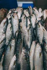 fresh fish at the market