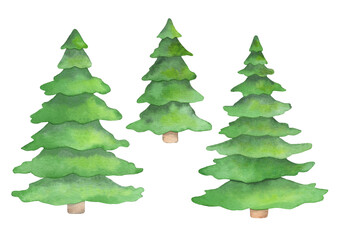 Watercolor green Christmas trees isolated on white background
