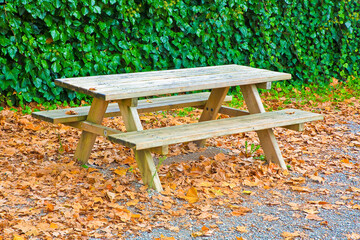 Wooden picnic table in a public park with dry leaves on the ground
