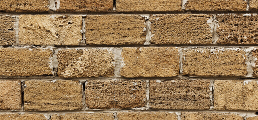brick from shells Texture background , wall is made of shells brick.
