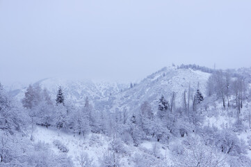 Beautiful alpine winter landscape. Snowy mountains. Highlands, mountains and gorges.
