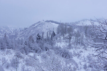 Beautiful alpine winter landscape. Snowy mountains. Highlands, mountains and gorges.