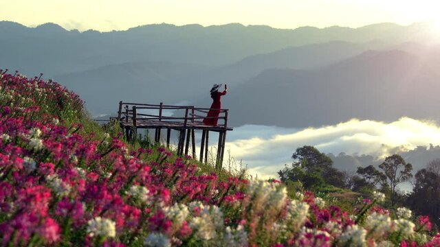 Beautiful girl enjoying at flowers fields and sunrise viewpoint in Tak province.