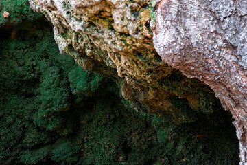 Fototapeta na wymiar Stone, wood and moss in the forest