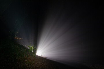 Lichtspiel im Nebel