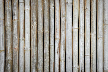 Bamboo fence texture background. Bamboo wall background. Dry bamboo texture exactly vertically straight wall floor light. Eco natural background concept