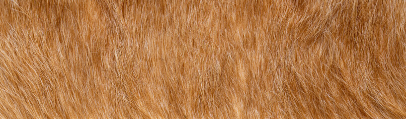 texture of natural wild brown fur background
