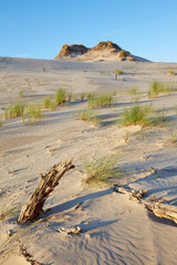 Leba sand dune
