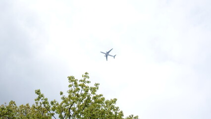plane in the sky among the trees. Cloudy morning. Low flying plane